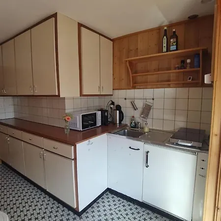 Apartment 1 Bedroom In Capolago